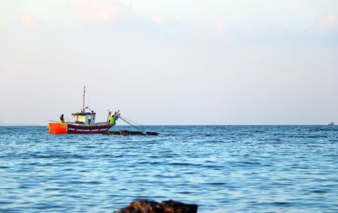 Kaş'ta Yelken ve Tekne Turları