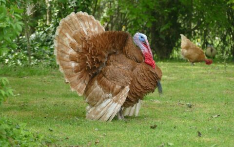 2025 Kaş Rehberi: Antalya Kaş Kahvaltı Deneyimi - Mumi Beach
