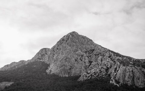 antalya kaş plaj Nerede Yenir? En İyi Adresler 2025 - Mumi Beach