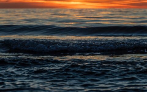 Dry Et Restaurant Arayanlara Özel 5 Harika Mekan - Mumi Beach