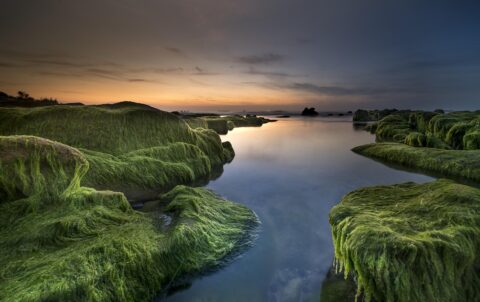 Kaş Mekan Arayanlara Özel 5 Harika Mekan - Mumi Beach