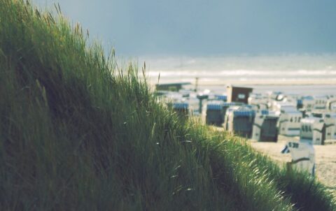 kaş plajları Nerede Yenir? En İyi Adresler 2025 - Mumi Beach